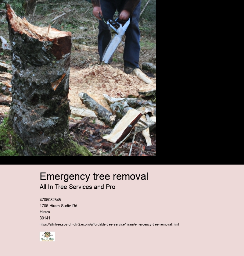 Emergency tree removal